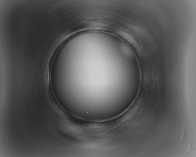 X0000089851275200706281245