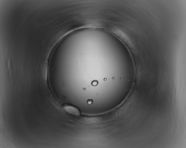 X0000089851276200706281244