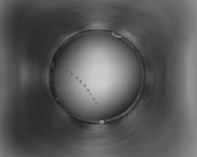 X0000089851277200706281244