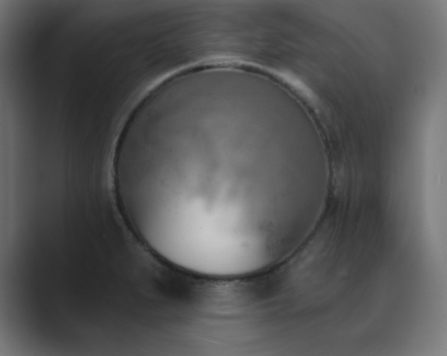 X0000089851279200706281244
