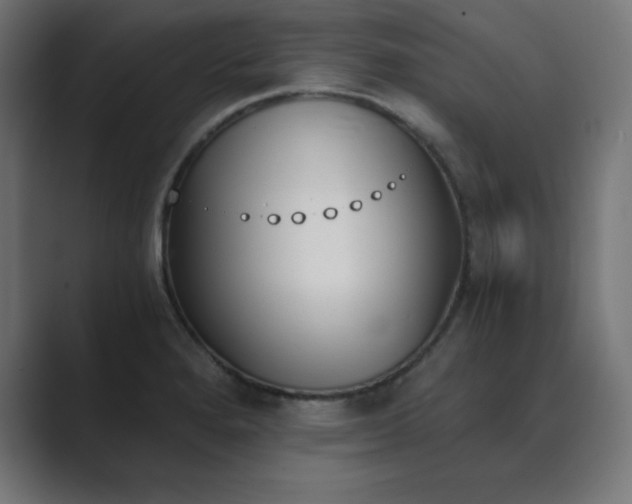 X0000089851280200706281244