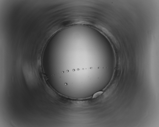 X0000089851281200706281244