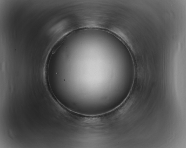 X0000089851285200706281244