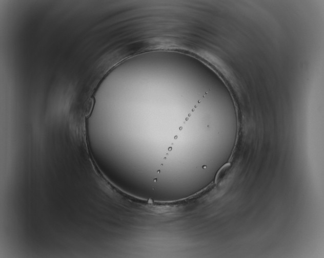 X0000089851289200706281244
