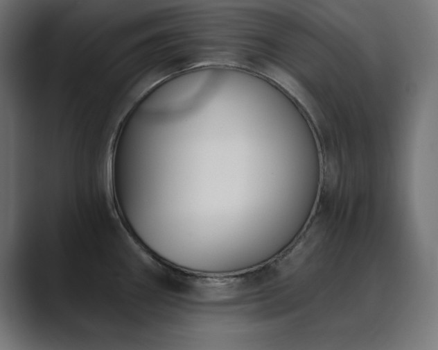 X0000089851290200706281244