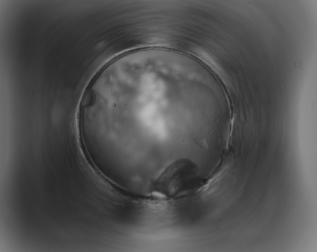 X0000089851291200706281244