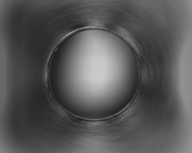 X0000089851292200706281244