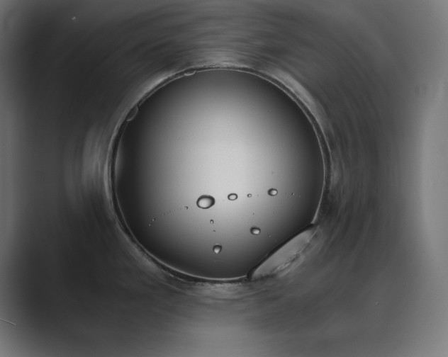 X0000089851293200706281244