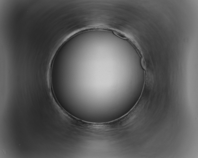 X0000089851295200706281244