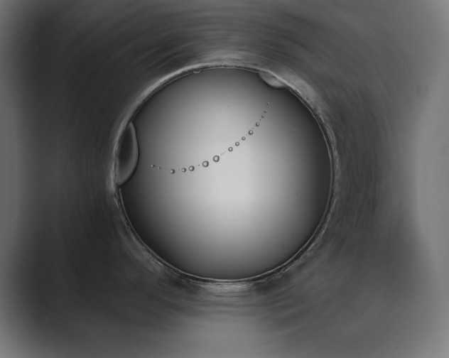 X0000089851296200706281244