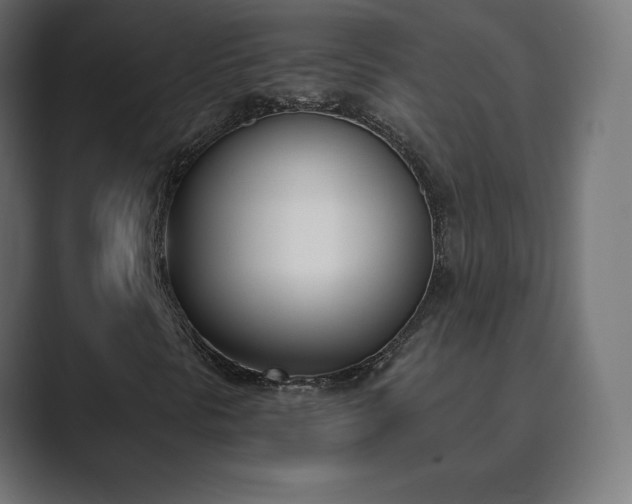 X0000089851297200706281244