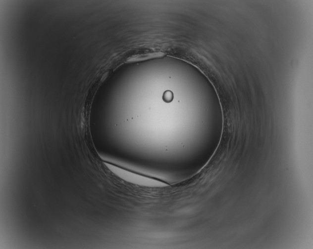 X0000089851298200706281244