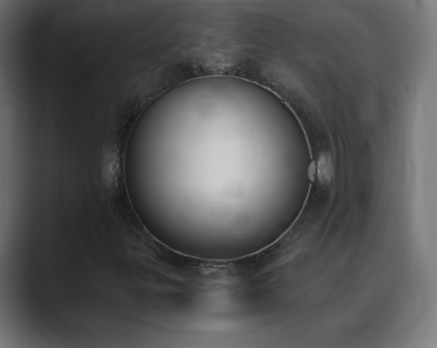 X0000089851299200706281244
