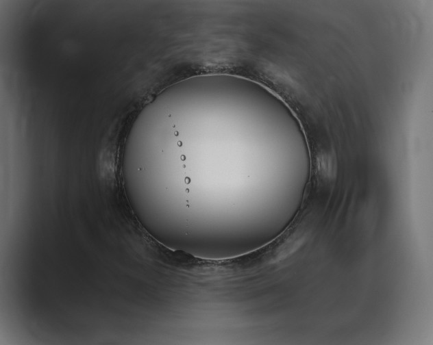 X0000089851300200706281244