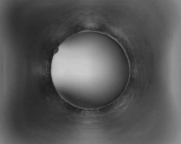 X0000089851301200706281244