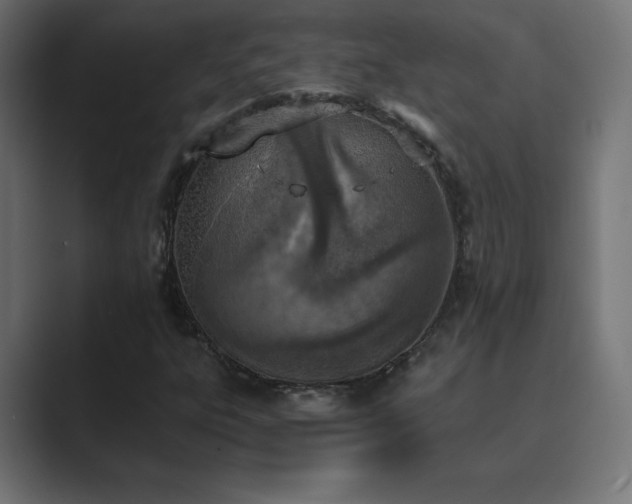 X0000089851303200706281244