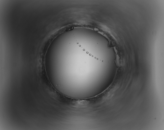 X0000089851304200706281244