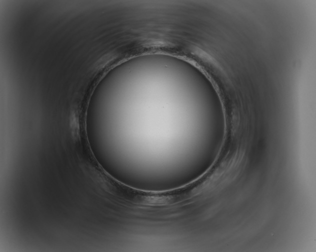 X0000089851305200706281244