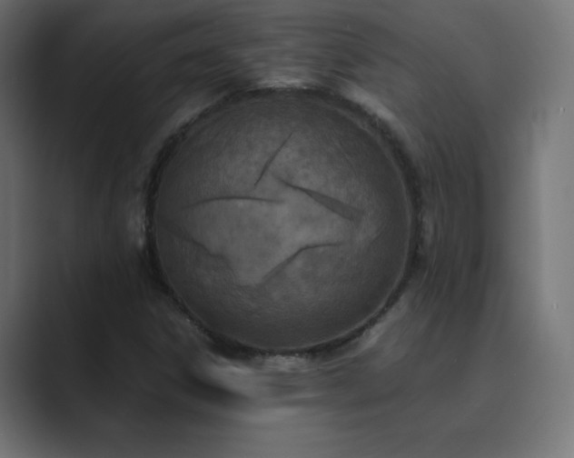 X0000089851306200706281244