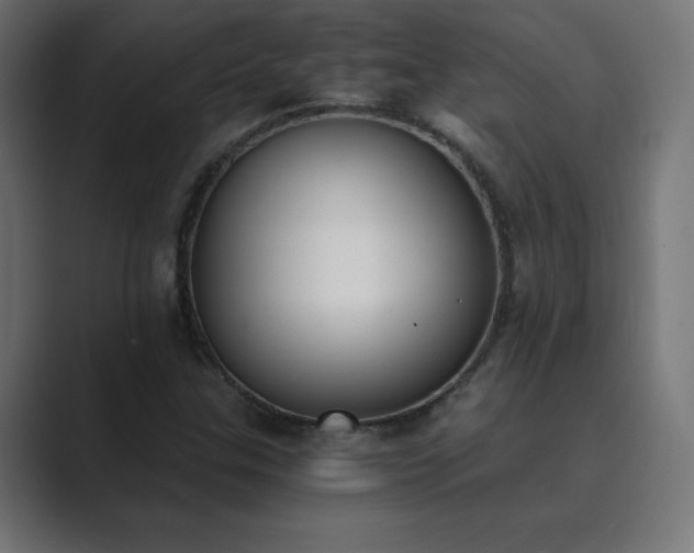X0000089851307200706281244