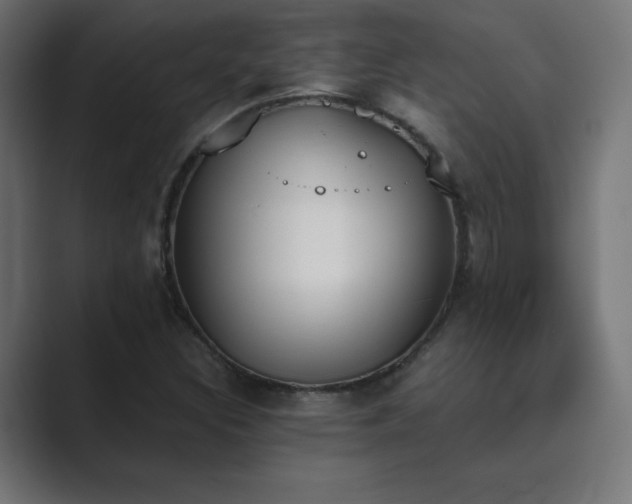 X0000089851308200706281244
