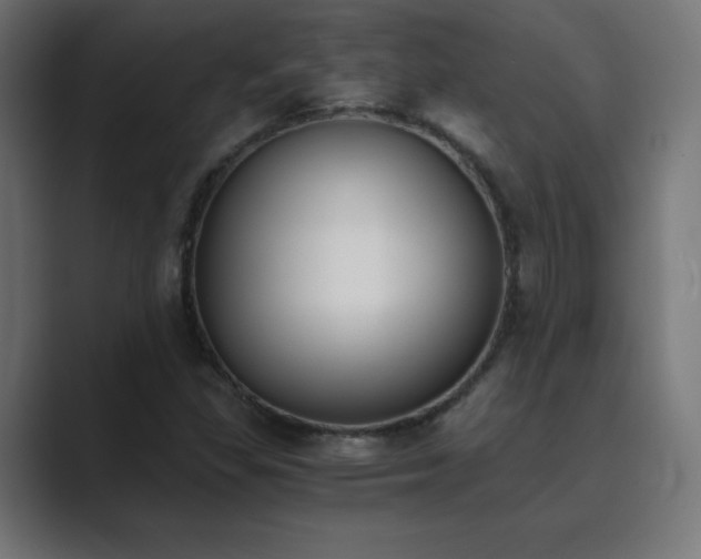 X0000089851309200706281244