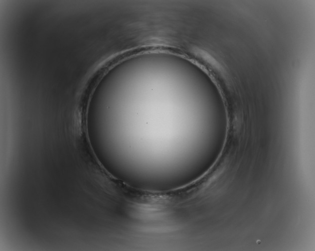 X0000089851310200706281244