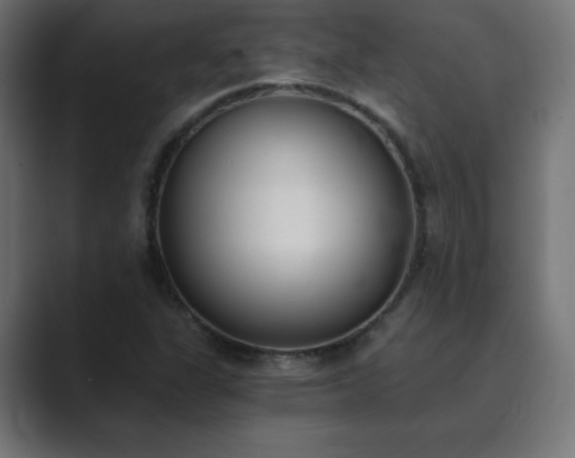X0000089851311200706281244