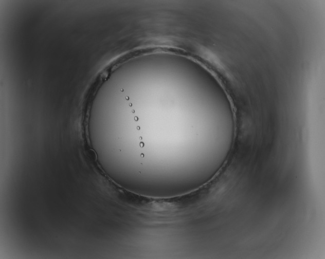 X0000089851312200706281244