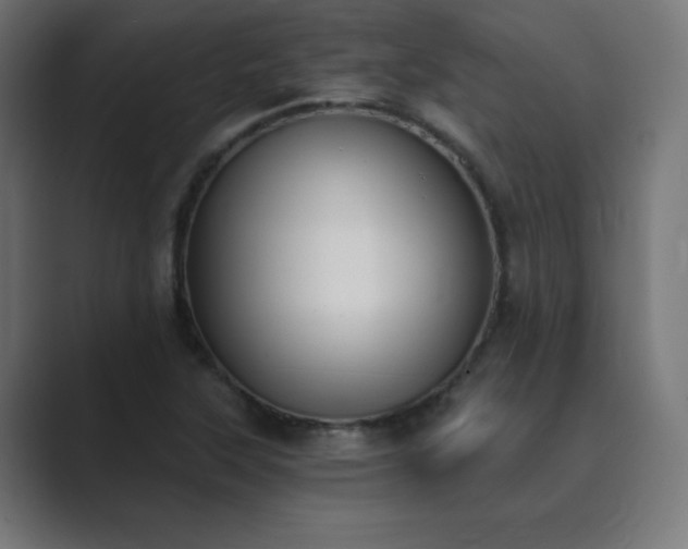 X0000089851315200706281244