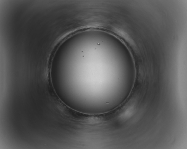 X0000089851316200706281244