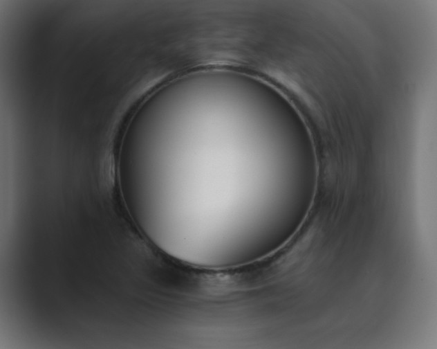 X0000089851317200706281244