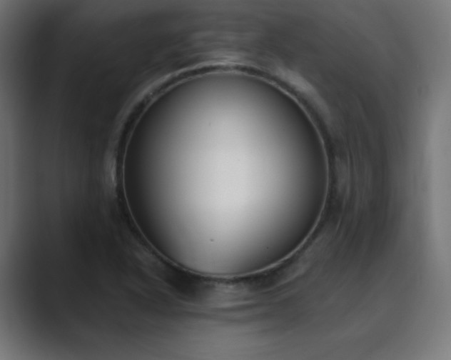 X0000089851318200706281244