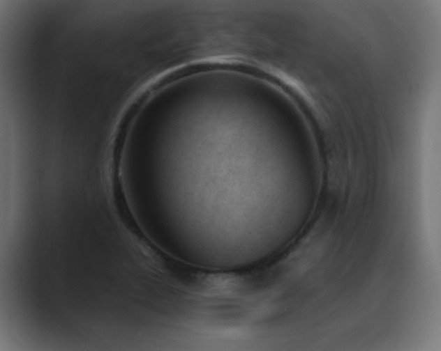 X0000089851319200706281244