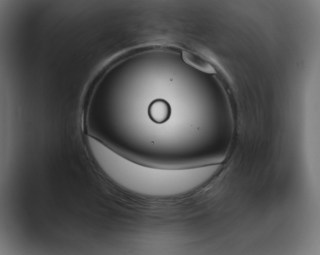 X0000089851320200706281244