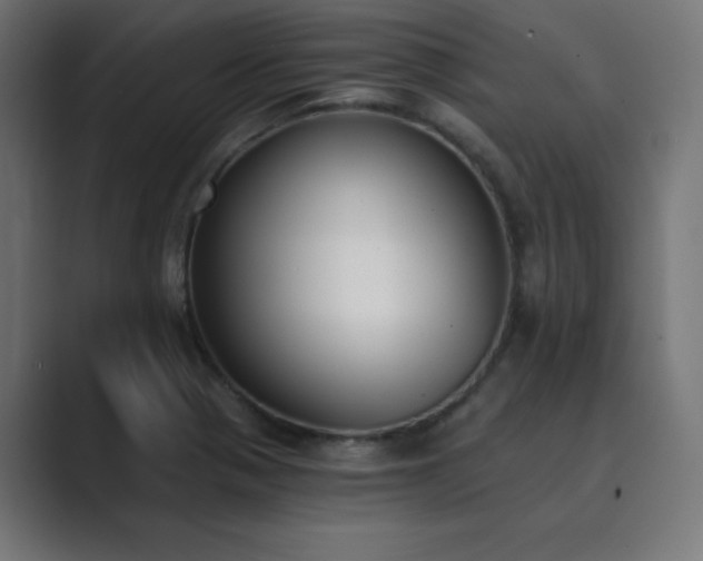 X0000089851321200706281244