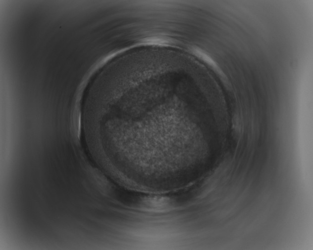 X0000089851323200706281244