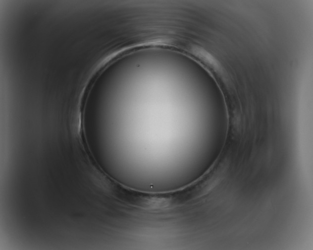X0000089851324200706281244