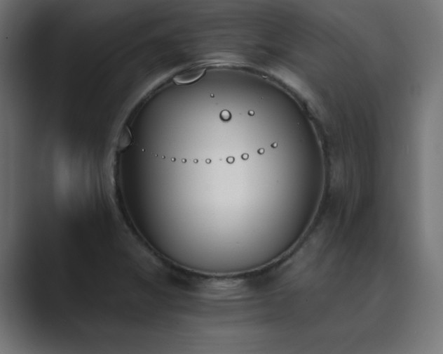 X0000089851325200706281244