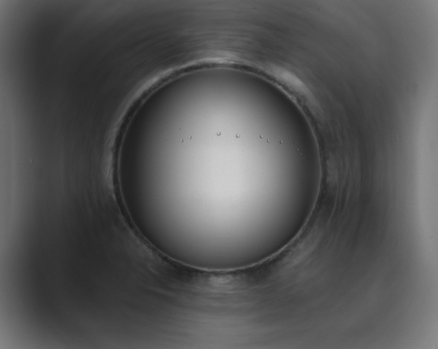 X0000089851326200706281244