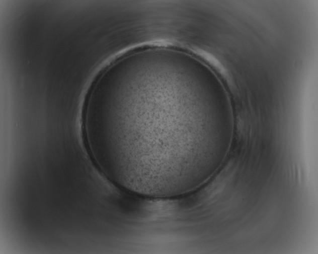 X0000089851327200706281244
