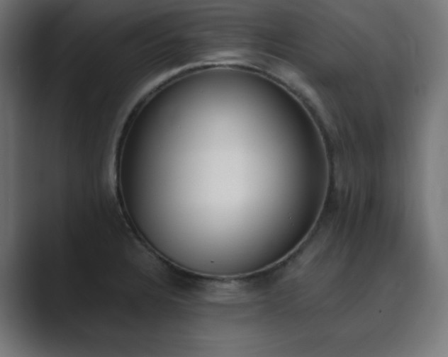 X0000089851328200706281244