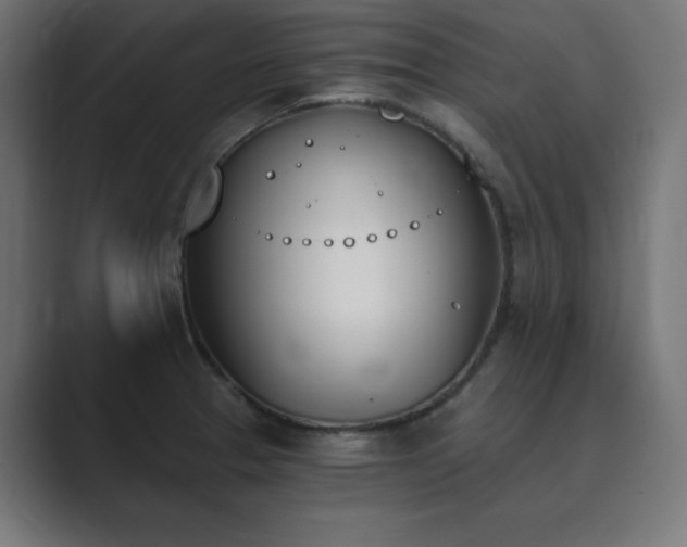 X0000089851329200706281244