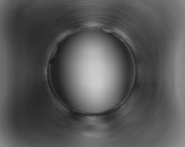 X0000089851330200706281244