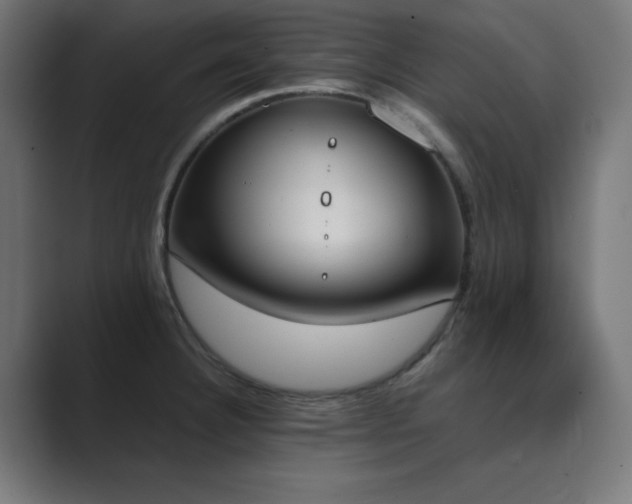 X0000089851332200706281244
