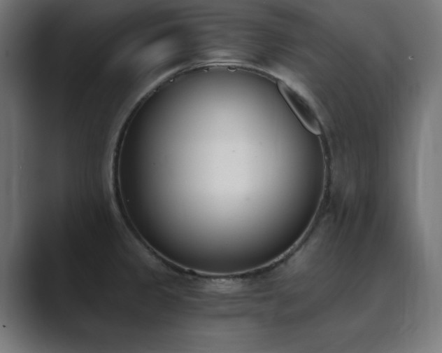 X0000089851333200706281244