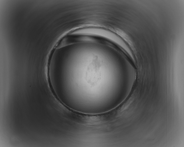X0000089851334200706281244