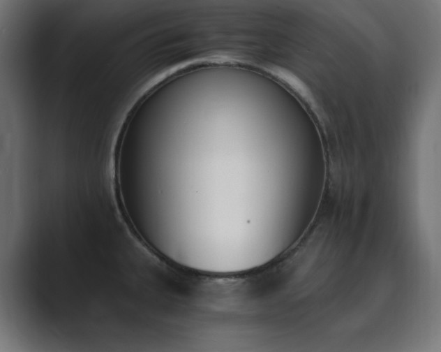 X0000089851335200706281244
