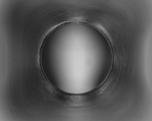 X0000089851336200706281244