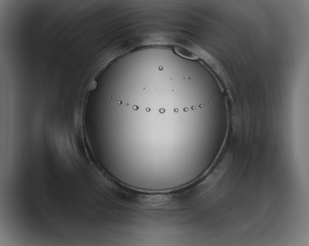 X0000089851337200706281244